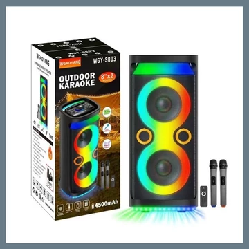 Prenosný Bluetooth reproduktor s 2 mikrofonnal WGY-S803