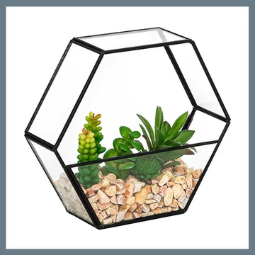 Umelá rastlina v teráriu 204287