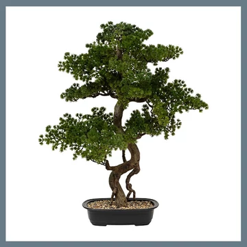 Bonsai strom v keramickom kvetináči 206547