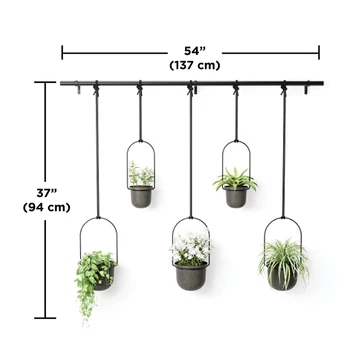 Umber Triflora - Závesný Kvetináč S Držiakom, Čierna Farba 1001201931
