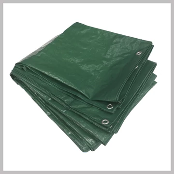 Zelená plachta, 8 x 10 m 014944
