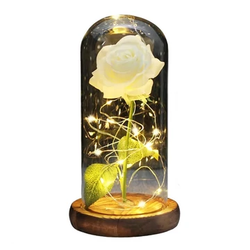 Večná Ruža s LED Osvetlením – ROZ16