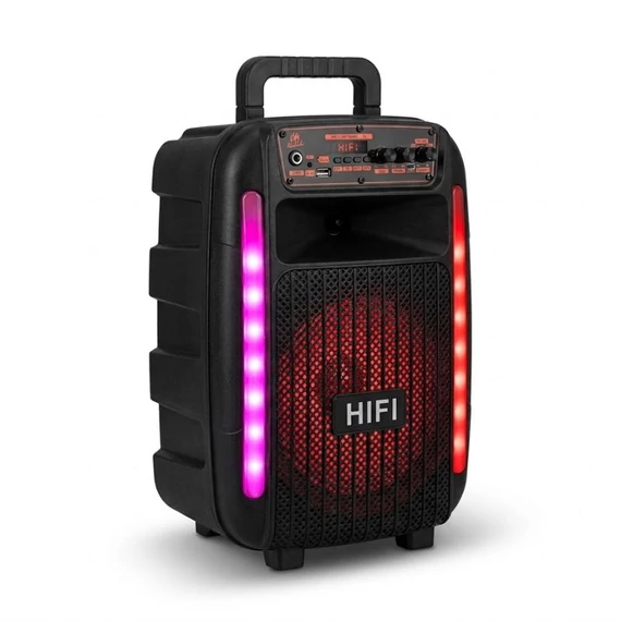 Prenosný Bluetooth party reproduktor s karaoke súpravou YE-082