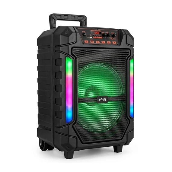 Prenosný Bluetooth party reproduktor s karaoke súpravou EVLYW YE-12001
